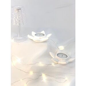Dekoratif 2'li Beton Nilüfer  Soya Mum Set