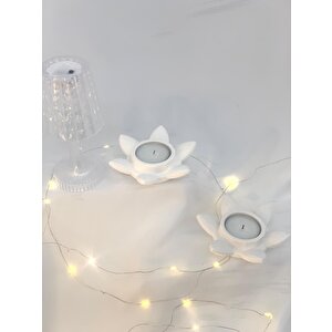 Dekoratif 2'li Beton Nilüfer  Soya Mum Set