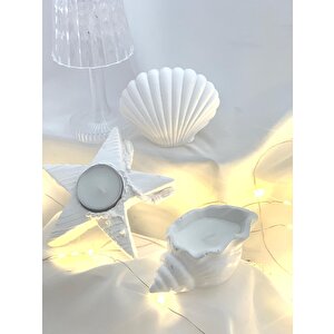 Dekoratif Beton İstiridye Biblo Deniz Kabuğu Soya Mum Yıldız Desen Tealight Set
