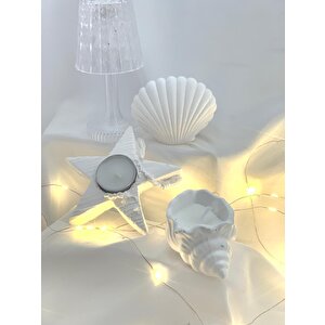 Dekoratif Beton İstiridye Biblo Deniz Kabuğu Soya Mum Yıldız Desen Tealight Set