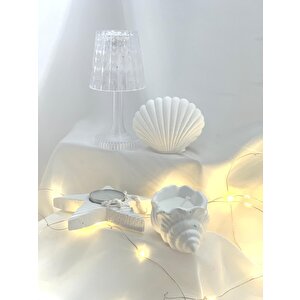 Dekoratif Beton İstiridye Biblo Deniz Kabuğu Soya Mum Yıldız Desen Tealight Set
