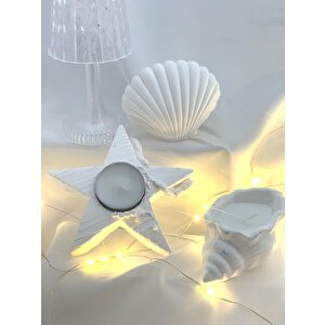Dekoratif Beton İstiridye Biblo Deniz Kabuğu Soya Mum Yıldız Desen Tealight Set