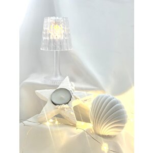Dekoratif Beton İstiridye Biblo  Yıldız Desen Tealight Set