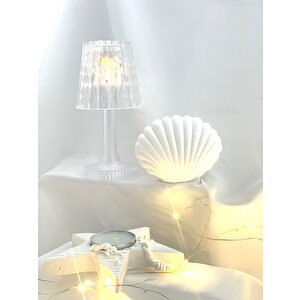 Dekoratif Beton İstiridye Biblo  Yıldız Desen Tealight Set
