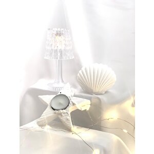 Dekoratif Beton İstiridye Biblo  Yıldız Desen Tealight Set