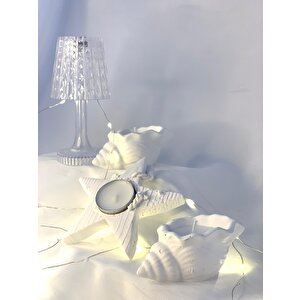 Dekoratif Beton Deniz Kabuğu Soya Mum  Yıldız Desen Tealight Set