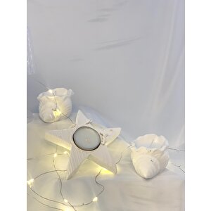 Dekoratif Beton Deniz Kabuğu Soya Mum  Yıldız Desen Tealight Set