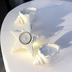 Dekoratif Beton Deniz Kabuğu Soya Mum  Yıldız Desen Tealight Set
