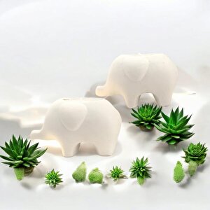 Dekoratif İkili Beton Fil Saksı  Biblo  Soya Mum Set