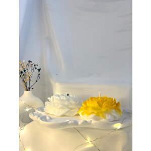 Dekoratif Beton Organizer Tabak  Ikili Şakayık Soya Mum Set