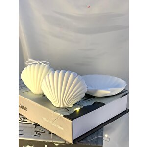 Dekoratif İstiridye Organizer Takı Tabağı Beton İstiridye Obje İstiridye Soya Mum Set