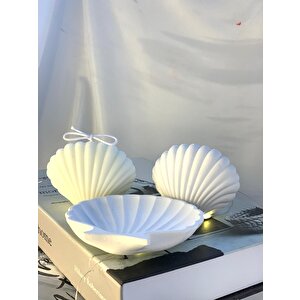 Dekoratif İstiridye Organizer Takı Tabağı Beton İstiridye Obje İstiridye Soya Mum Set