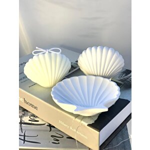 Dekoratif İstiridye Organizer Takı Tabağı Beton İstiridye Obje İstiridye Soya Mum Set