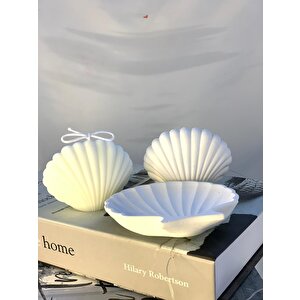 Dekoratif İstiridye Organizer Takı Tabağı Beton İstiridye Obje İstiridye Soya Mum Set