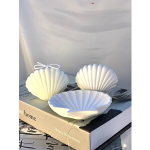 Dekoratif İstiridye Organizer Takı Tabağı Beton İstiridye Obje İstiridye Soya Mum Set