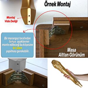 Zade Plastik Sehpa Ayağı 46 Cm Altın Gold Renk 1 Adet Mobilya Zigon Çay Orta Sehpası Ayak Ayakları