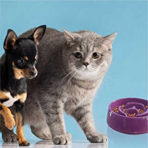 Büyük Obezite Önleyici 375cc Kedi Köpek Evcl Hayvn Az Yavaş Yeme Yediren Mama Yem Kabı Kasesi Tabağı