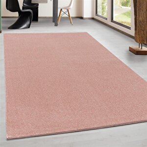 Yumuşak Kısa Havlı Modern Halı Düz Gül Kurusu Renkli Halı 80x550 cm