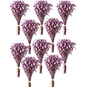 10lu Set Kuru Çiçek Doğal Mor Cipso Şoklanmış Bozulmaz