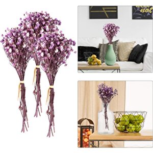 10lu Set Kuru Çiçek Doğal Mor Cipso Şoklanmış Bozulmaz