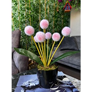 Yapay Çiçek Kırmızı Açık Pompon Siyah Saksıda Dekoratif Yapay Çiçek 30*20cm