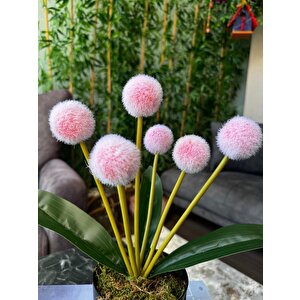 Yapay Çiçek Kırmızı Açık Pompon Siyah Saksıda Dekoratif Yapay Çiçek 30*20cm