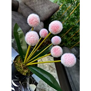Yapay Çiçek Kırmızı Açık Pompon Siyah Saksıda Dekoratif Yapay Çiçek 30*20cm