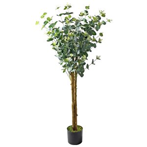 Yapay Okaliptus Ağacı 120cm Doğal Gövdeli Gerçek Görünümlü Yapay Ağaç