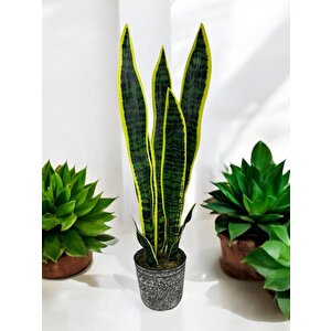 Yapay Çiçek Saksılı Yeşil Kılıç Çiçeği 68cm Salon Çiçeği Gri Seramik Saksılı Yapay Bitki