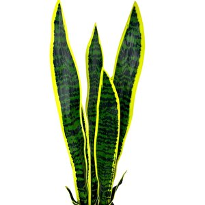 Yapay Çiçek Saksılı Yeşil Kılıç Çiçeği 68cm Salon Çiçeği Gri Seramik Saksılı Yapay Bitki