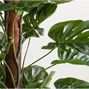 Yapay Çiçek Monstera Salon Sarmaşığı  Tropik Salon Bitkisi Yapay Ağaç 150cm