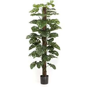 Yapay Çiçek Monstera Salon Sarmaşığı  Tropik Salon Bitkisi Yapay Ağaç 150cm