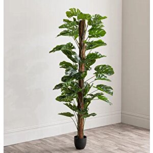 Yapay Çiçek Monstera Salon Sarmaşığı  Tropik Salon Bitkisi Yapay Ağaç 150cm