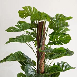 Yapay Çiçek Monstera Salon Sarmaşığı  Tropik Salon Bitkisi Yapay Ağaç 150cm