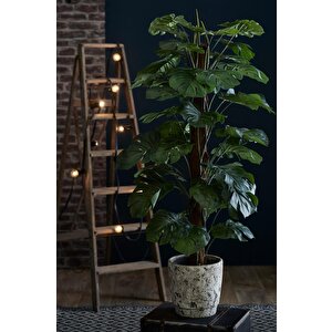 Yapay Çiçek Monstera Salon Sarmaşığı  Tropik Salon Bitkisi Yapay Ağaç 150cm