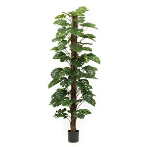 Yapay Çiçek Monstera Salon Sarmaşığı  Tropik Salon Bitkisi Yapay Ağaç 150cm
