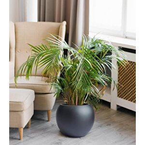 Fiber Saksı Antrasit Küre Yuvarlak Top Vazo Dekoratif Saksı Fiberglas 30*30cm