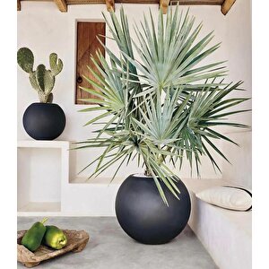 Fiber Saksı Antrasit Küre Yuvarlak Top Vazo Dekoratif Saksı Fiberglas 30*30cm