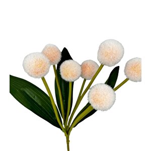 Yapay Çiçek Şampanya Rengi Pompon Çiçeği Dekoratif Yapay Çiçek 7 Toplu 30*20cm