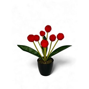 Yapay Çiçek Kırmızı Pompon Siyah Saksıda Dekoratif Yapay Çiçek 30*20cm