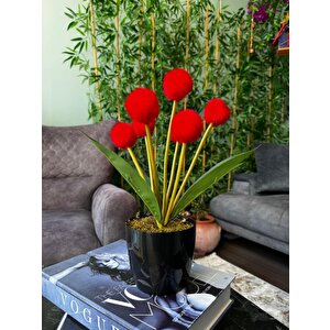 Yapay Çiçek Kırmızı Pompon Siyah Saksıda Dekoratif Yapay Çiçek 30*20cm
