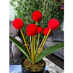 Yapay Çiçek Kırmızı Pompon Siyah Saksıda Dekoratif Yapay Çiçek 30*20cm