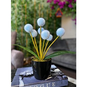 Yapay Çiçek Mavi Pompon Siyah Saksıda Dekoratif Yapay Çiçek 30*20cm