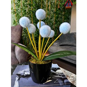 Yapay Çiçek Mavi Pompon Siyah Saksıda Dekoratif Yapay Çiçek 30*20cm