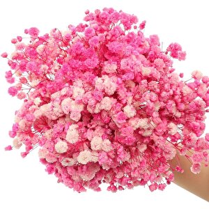 10lu Set Kuru Çiçek Doğal Pembe Koyu Cipso Şoklanmış Bozulmaz
