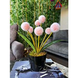 Yapay Çiçek Şampanya Rengi Pompon Siyah Saksıda Dekoratif Yapay Çiçek 30*20cm