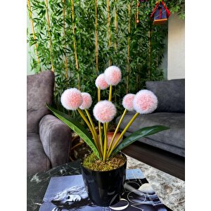 Yapay Çiçek Şampanya Rengi Pompon Siyah Saksıda Dekoratif Yapay Çiçek 30*20cm
