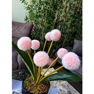 Yapay Çiçek Şampanya Rengi Pompon Siyah Saksıda Dekoratif Yapay Çiçek 30*20cm