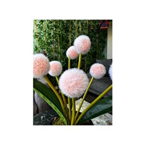 Yapay Çiçek Şampanya Rengi Pompon Siyah Saksıda Dekoratif Yapay Çiçek 30*20cm
