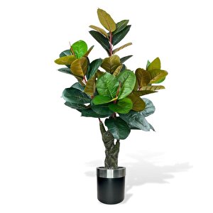 Yapay Ağaç Kauçuk Ağacı Metal Gümüş Kemerli Saksıda Ficus Elastica Salon Çiçeği 150*90 61 Yaprak